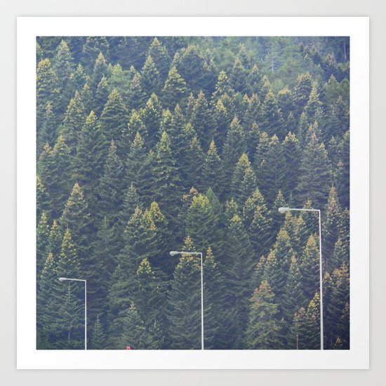Forest Art Print