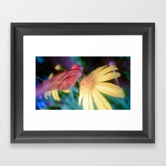 hungry butterfly Framed Art Print