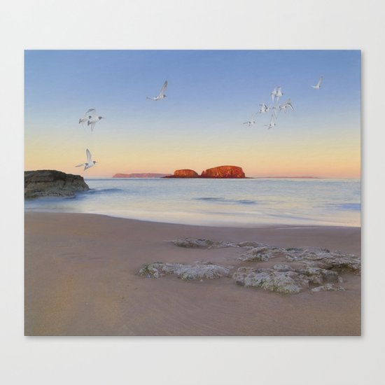 Oysters Canvas Print