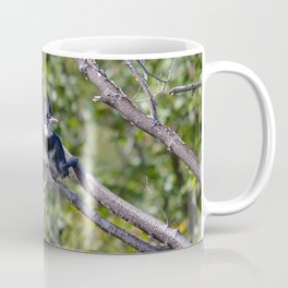 Two 4 One - Belted Kingfisher Coffee Mug