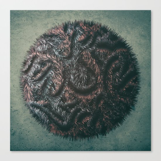 Augmented Furball Canvas Print