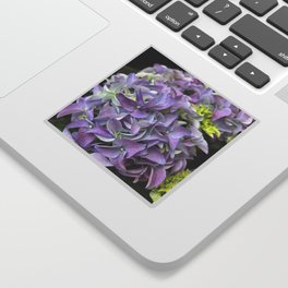 Lavender Hydrangea Sticker