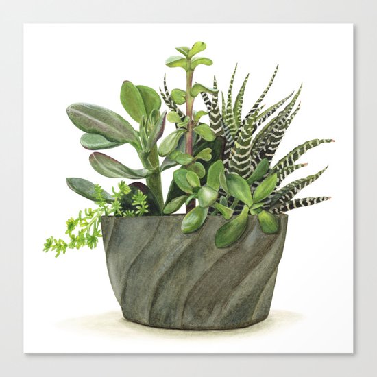 Watercolor Succulents Canvas Print
