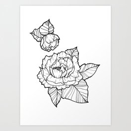 Peonies Art Print | Flowerart, Flowerdesign, Peonies, Flowerillustration, Lkoriginal, Ink Pen, Drawing 