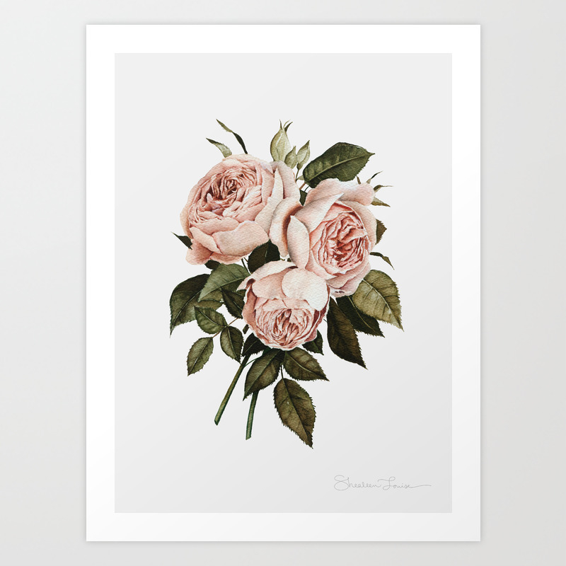 Three English Roses Art Print By Shealeenlouise Society6