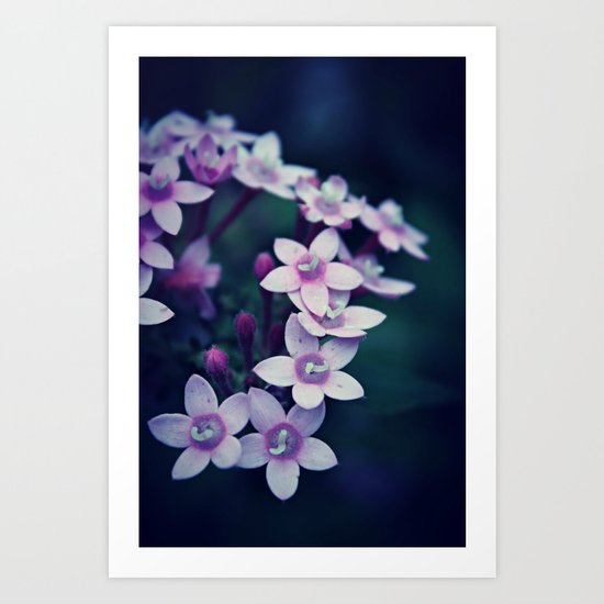 Spring Flower 11 Art Print