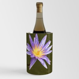 Blue Lotus Wine Chiller