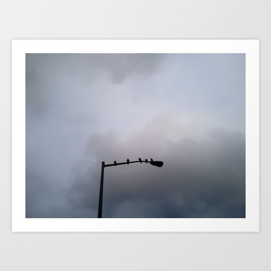 Morning Birds Art Print