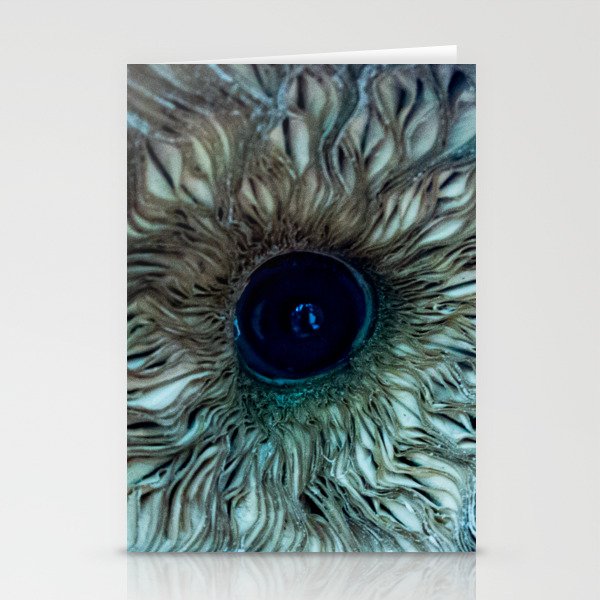 Mushroom Eye Stationery Cards