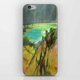 Out Of The Woods iPhone Skin