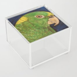 Amazon parrot Acrylic Box