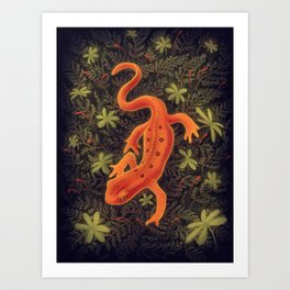 Red Spotted Newt Art Print