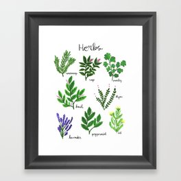 Kitchen Kitchen Herbs Framed Art Print