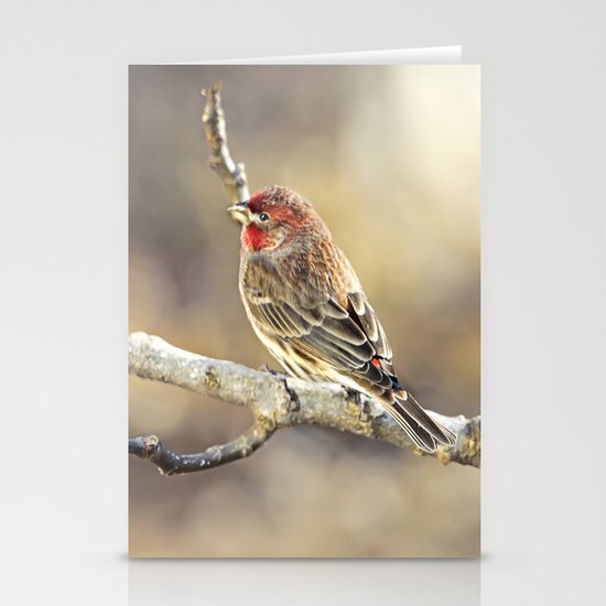 Rosy Little Finch Stationery Cards
