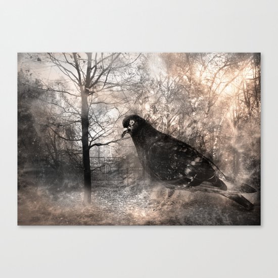 Black bird and the foggy path Canvas Print