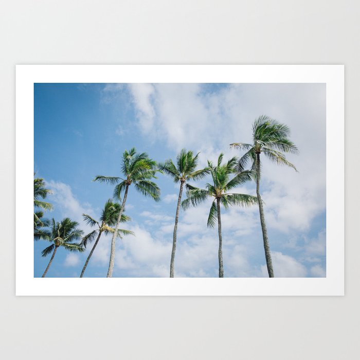 Palm Trees in the Breeze on the Island of Kauai, Hawaii Art Print
