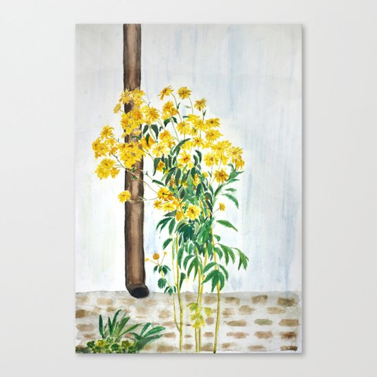 sun choke flowers outside a house Canvas Print