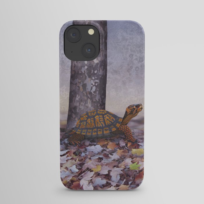 eastern box turtle in the forest iPhone Case