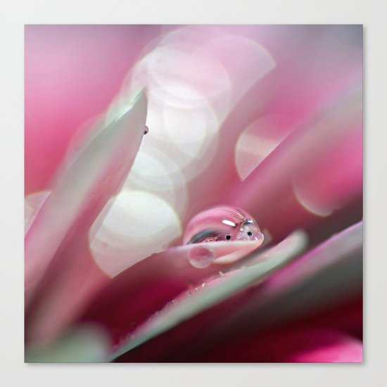 elemental Canvas Print