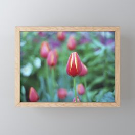 One Tulip Framed Mini Art Print
