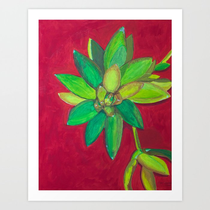 Green Succulent Art Print