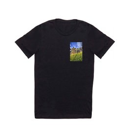 York City Walls T Shirt | Daffodils, Romanyork, Medievalcitywalls, Yorkwalls, Yorkcitywalls, Romanwall, Yorkmedievalwalls, Romanwalls, Photo, Yorkhistory 