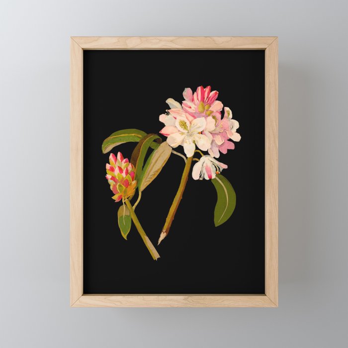 Framed Mini Art Print
