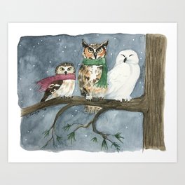 Three Wise Owls Art Print