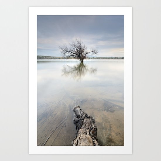 Roots and trees... Art Print