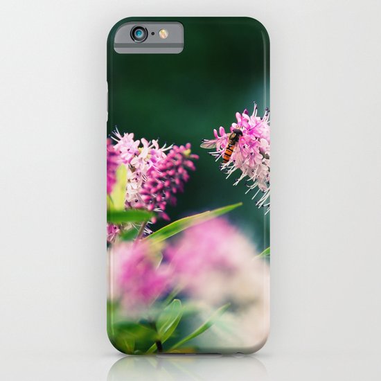 Summer Delight iPhone & iPod Case