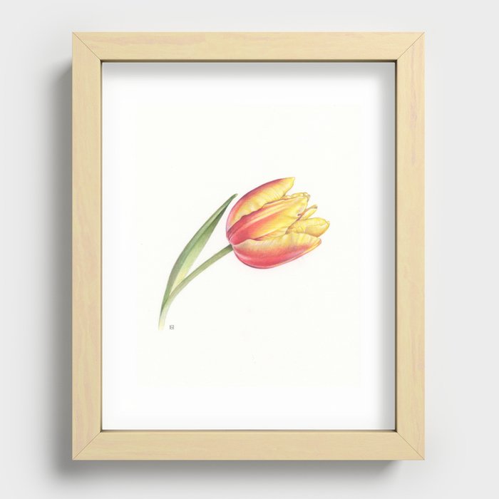 Red Yellow Tulip Recessed Framed Print