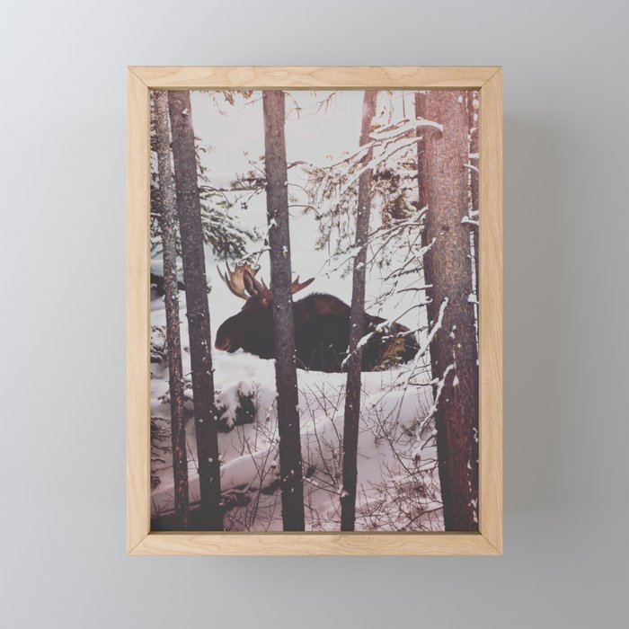 Yellowstone Moose Framed Mini Art Print
