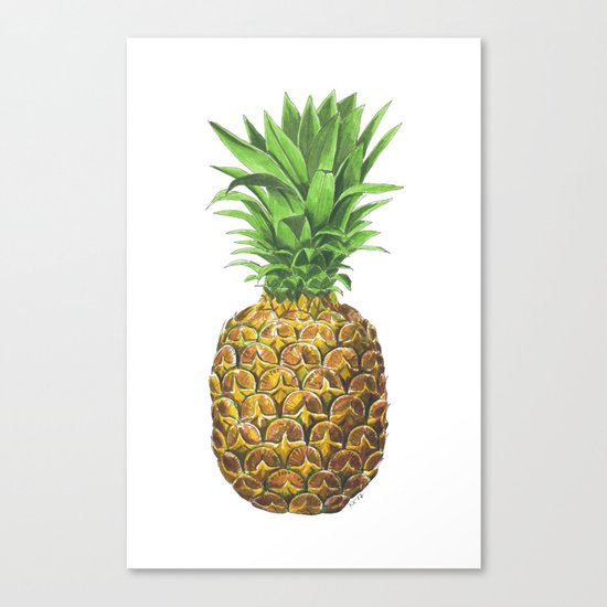 Pineapple, tropical fruit Canvas Print