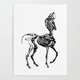 Centaur Skeleton Poster