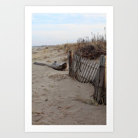 Fence Art Print