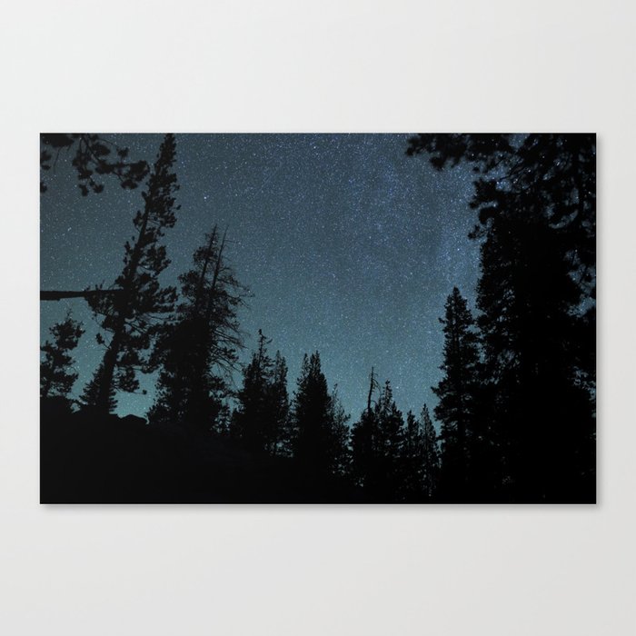 Stars and Trees Canvas Print