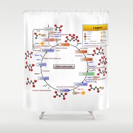Citric Acid Cycle, TCA Cycle, Krebs Cycle Diagram Shower Curtain