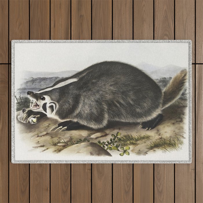  the viviparous quadrupeds of North America (1845) illustrated by john james audubon Outdoor Rug