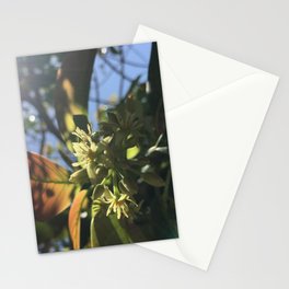 Avocado Tree Blossom Stationery Card