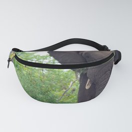 South Africa Photography - Elephant Walking Through The Forest Fanny Pack