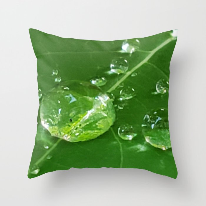dew on a leaf Throw Pillow