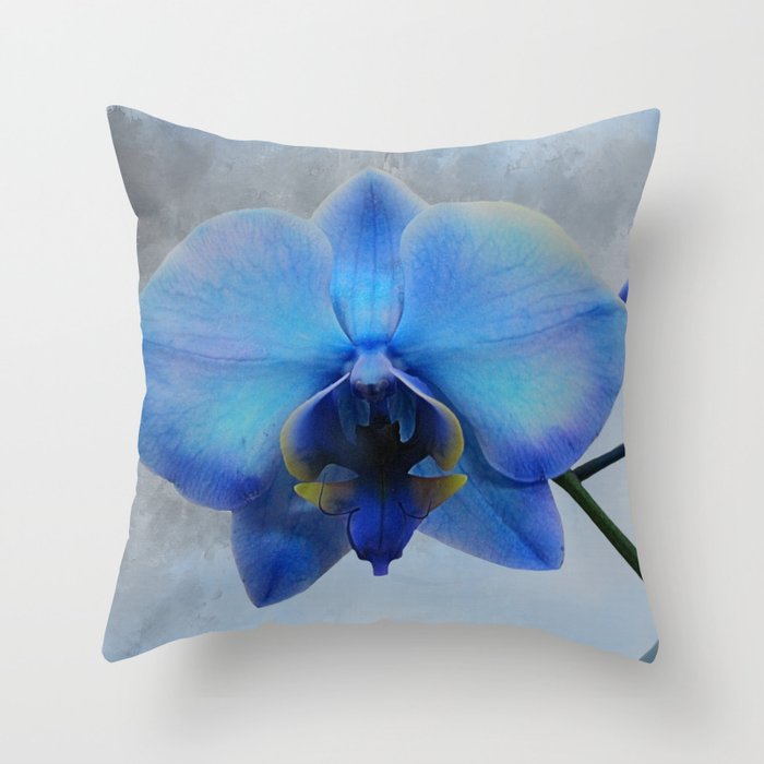 Studio chic home pillows blue top