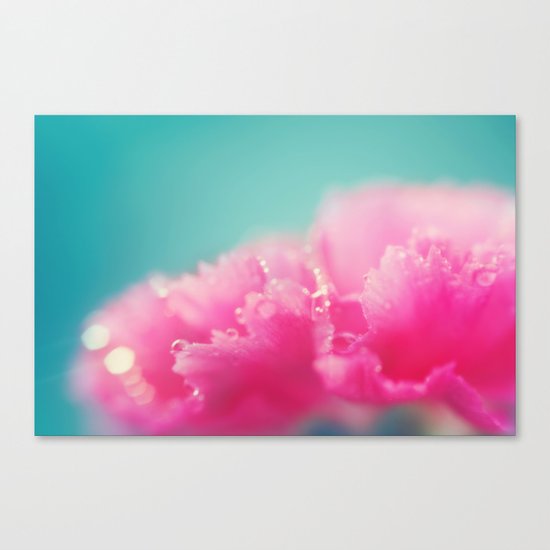 Kissed by the Rain Canvas Print