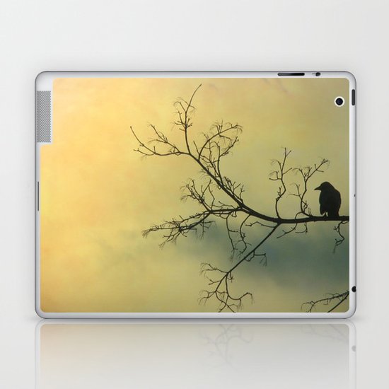 Solitude Mood Laptop & iPad Skin
