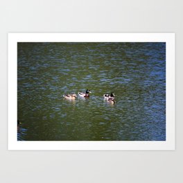 Wild Geese Art Print | Hi Speed, Digital, Color, Digitalmanipulation, Geese, Wild, Photo 