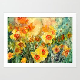 Golden Daffodils Art Print