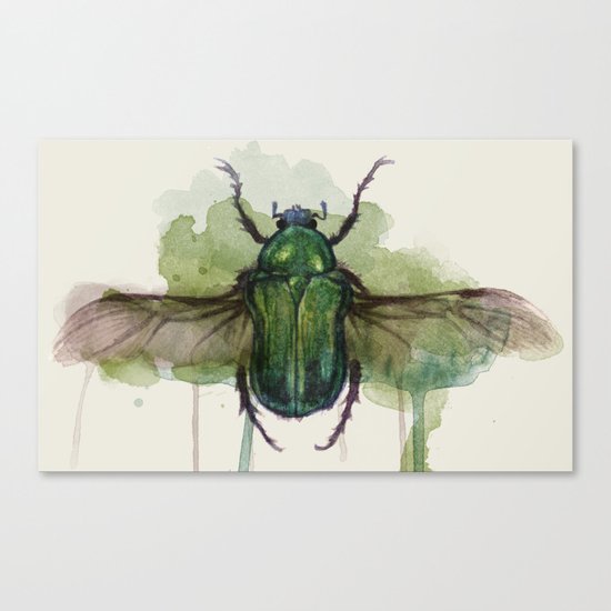 beetle II Canvas Print