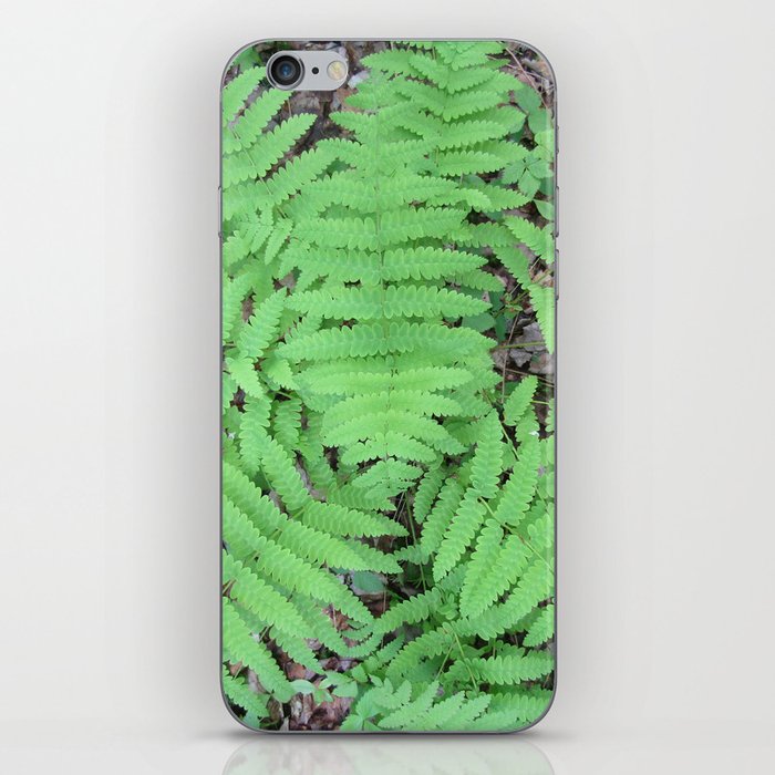Fern From Above iPhone Skin