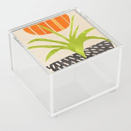 Modern Sunny Houseplant Acrylic Box