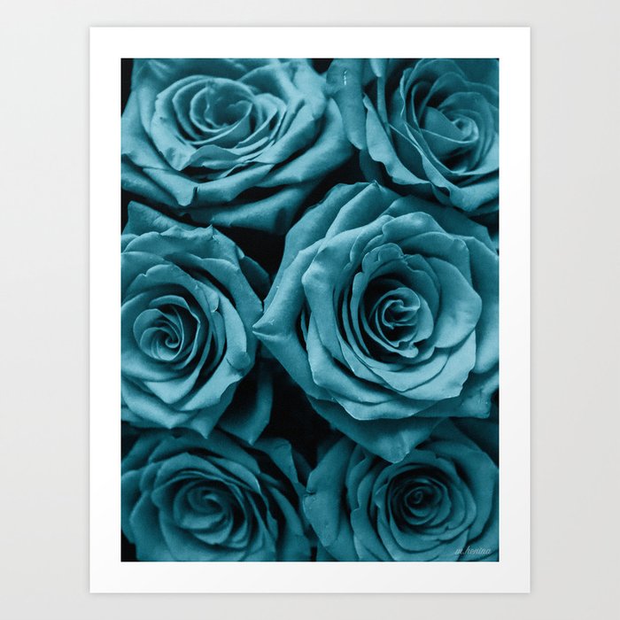 Turquoise Roses Art Print